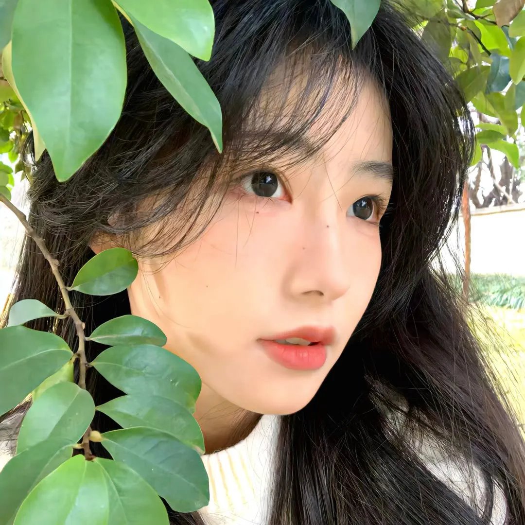 霉菌之花